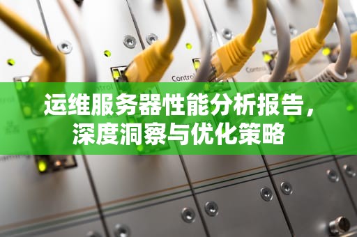 运维服务器性能分析报告，深度洞察与优化策略