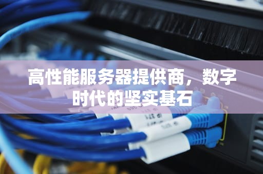 高性能服务器提供商，数字时代的坚实基石