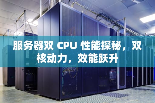 服务器双 CPU 性能探秘，双核动力，效能跃升