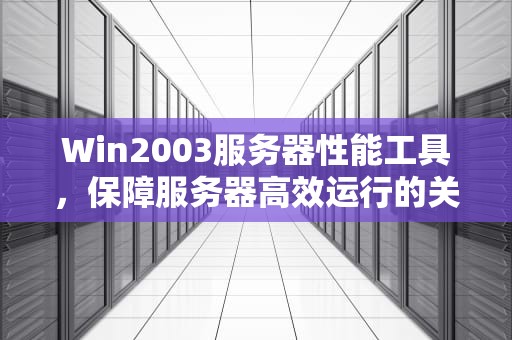 Win2003服务器性能工具，保障服务器高效运行的关键利器