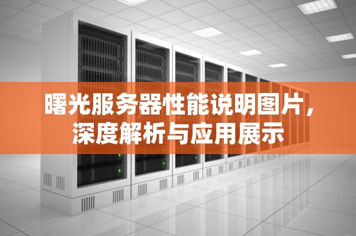 曙光服务器性能说明图片，深度解析与应用展示