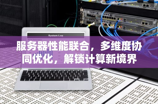 服务器性能联合，多维度协同优化，解锁计算新境界