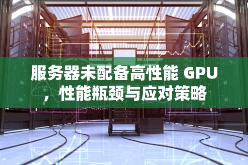 服务器未配备高性能 GPU，性能瓶颈与应对策略