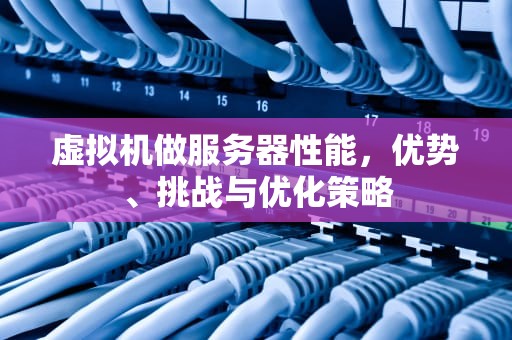 虚拟机做服务器性能，优势、挑战与优化策略