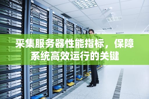 采集服务器性能指标，保障系统高效运行的关键