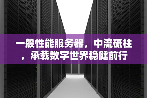 一般性能服务器，中流砥柱，承载数字世界稳健前行