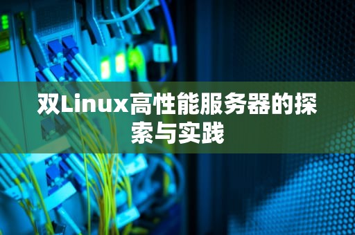 双Linux高性能服务器的探索与实践