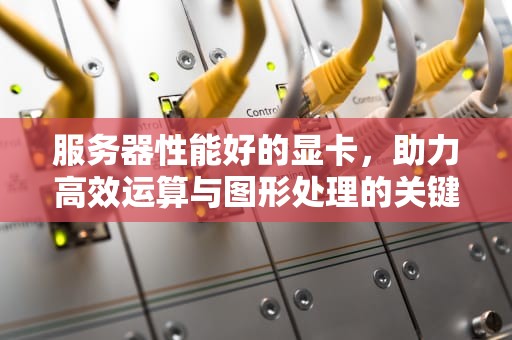 服务器性能好的显卡，助力高效运算与图形处理的关键硬件