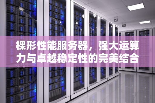 棵形性能服务器，强大运算力与卓越稳定性的完美结合