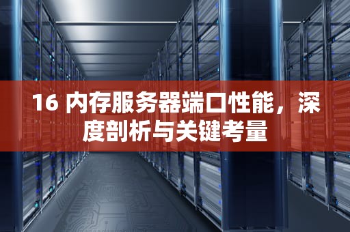 16 内存服务器端口性能，深度剖析与关键考量