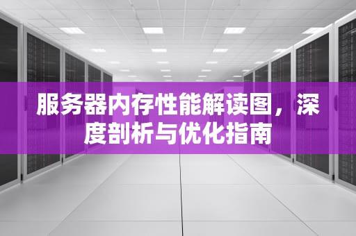 服务器内存性能解读图，深度剖析与优化指南