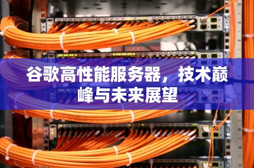 谷歌高性能服务器，技术巅峰与未来展望