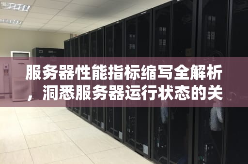 服务器性能指标缩写全解析，洞悉服务器运行状态的关键密码