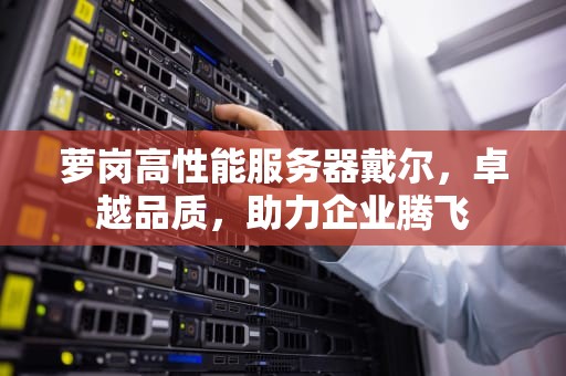萝岗高性能服务器戴尔，卓越品质，助力企业腾飞
