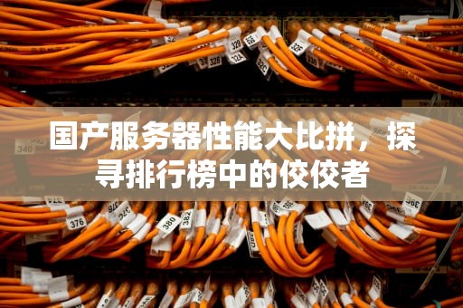 国产服务器性能大比拼，探寻排行榜中的佼佼者
