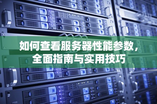 如何查看服务器性能参数，全面指南与实用技巧