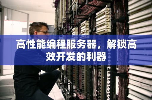 高性能编程服务器，解锁高效开发的利器