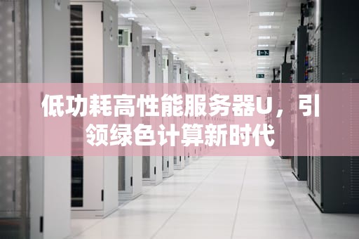 低功耗高性能服务器U，引领绿色计算新时代