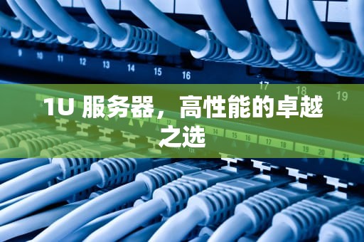 1U 服务器，高性能的卓越之选