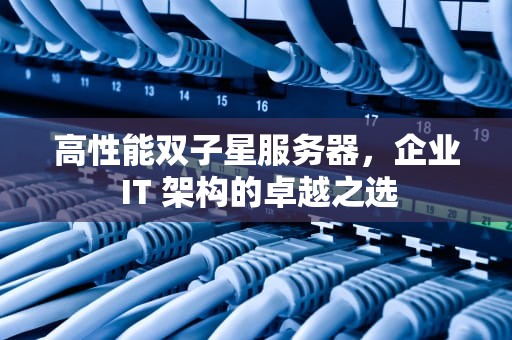 高性能双子星服务器，企业 IT 架构的卓越之选