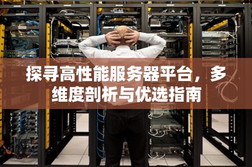 探寻高性能服务器平台，多维度剖析与优选指南