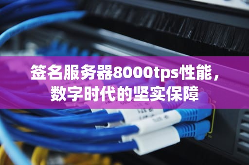 签名服务器8000tps性能，数字时代的坚实保障