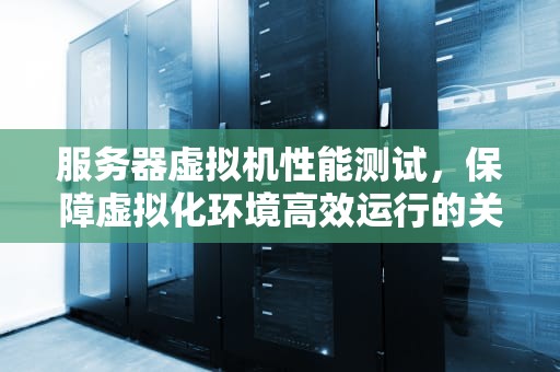 服务器虚拟机性能测试，保障虚拟化环境高效运行的关键