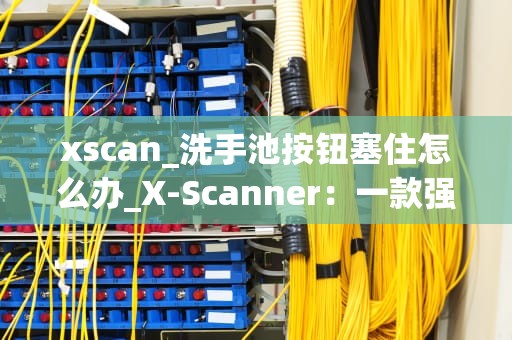 xscan_洗手池按钮塞住怎么办_X-Scanner：一款强大的网络安全扫描工具