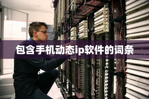 包含手机动态ip软件的词条