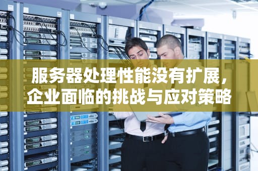 服务器处理性能没有扩展，企业面临的挑战与应对策略