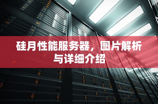 硅月性能服务器，图片解析与详细介绍