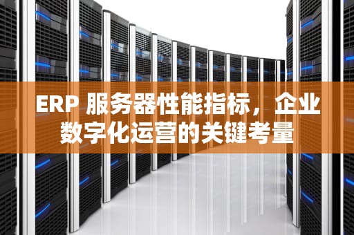 ERP 服务器性能指标，企业数字化运营的关键考量