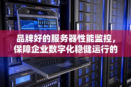 品牌好的服务器性能监控，保障企业数字化稳健运行的关键