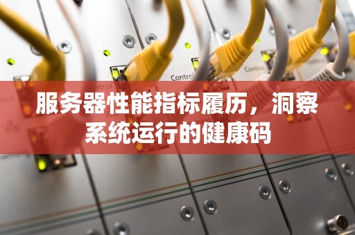 服务器性能指标履历，洞察系统运行的健康码
