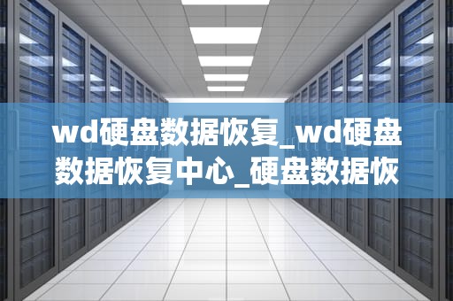 wd硬盘数据恢复_wd硬盘数据恢复中心_硬盘数据恢复的全面指南