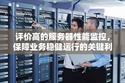 评价高的服务器性能监控，保障业务稳健运行的关键利器