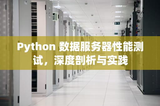 Python 数据服务器性能测试，深度剖析与实践