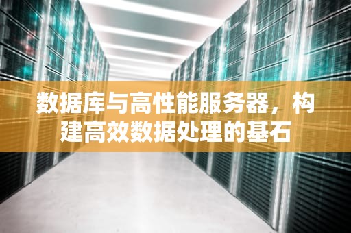 数据库与高性能服务器，构建高效数据处理的基石