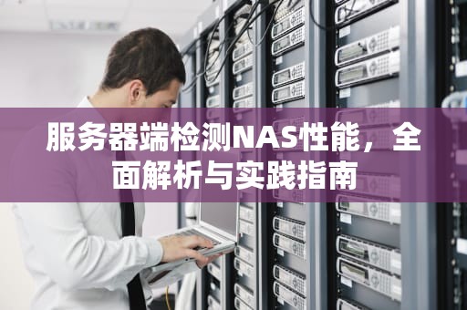 服务器端检测NAS性能，全面解析与实践指南