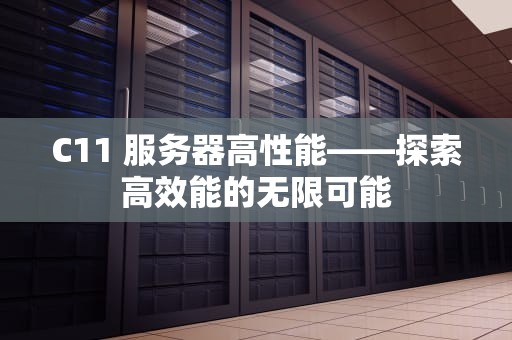 C11 服务器高性能——探索高效能的无限可能