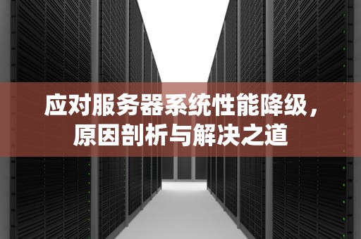 应对服务器系统性能降级，原因剖析与解决之道