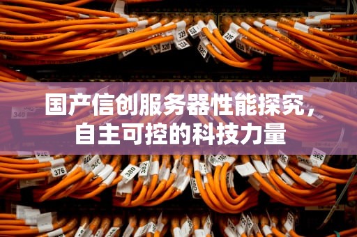 国产信创服务器性能探究，自主可控的科技力量