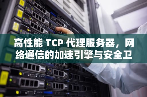 高性能 TCP 代理服务器，网络通信的加速引擎与安全卫士