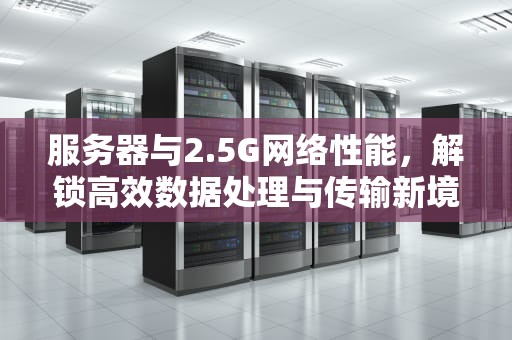 服务器与2.5G网络性能，解锁高效数据处理与传输新境界