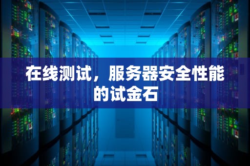 在线测试，服务器安全性能的试金石