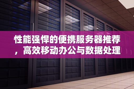 性能强悍的便携服务器推荐，高效移动办公与数据处理的得力助手