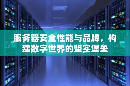 服务器安全性能与品牌，构建数字世界的坚实堡垒