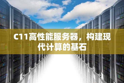 C11高性能服务器，构建现代计算的基石