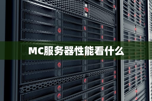 MC服务器性能看什么