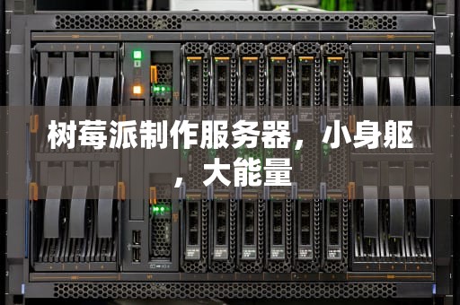 树莓派制作服务器，小身躯，大能量